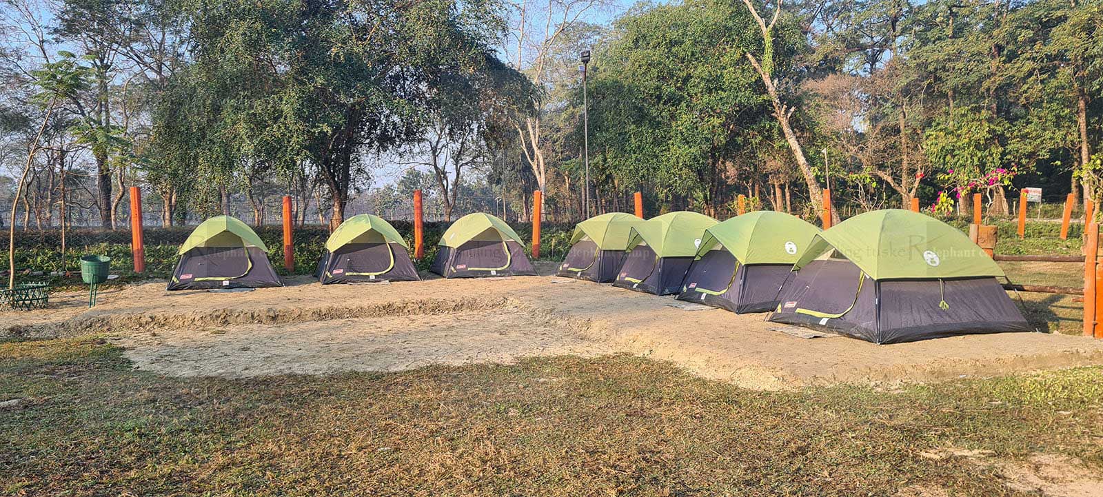Cottage Tents