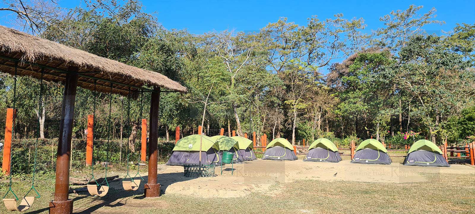 Cottage Tents