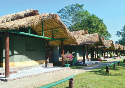 Cottage Tents