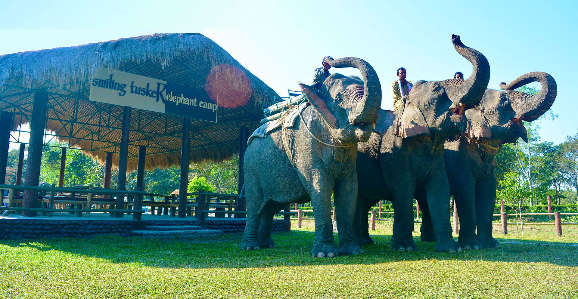 Smiling Tuskers Elephant Camp